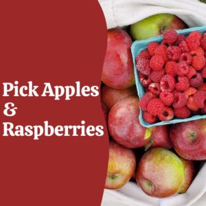 apple picking website